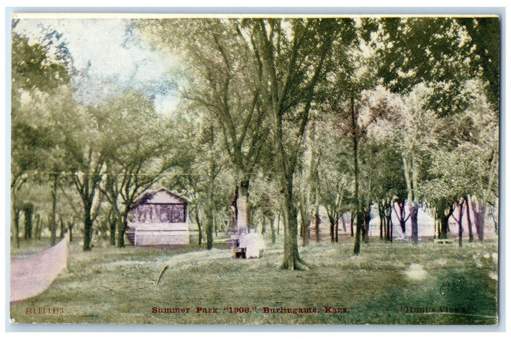 1910 Scenic View Summer Park Trees Burlingame Kansas KS Antique Vintage Postcard