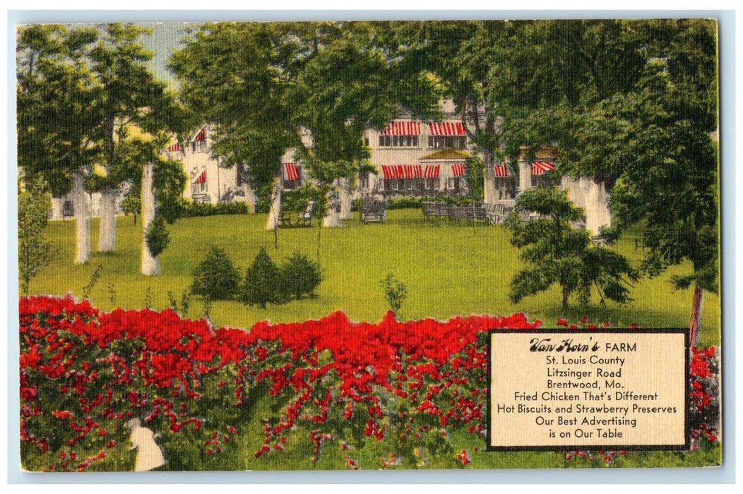 c1950's Van Horn's Farm Flowers St. Louis County Brentwood Missouri MO Postcard