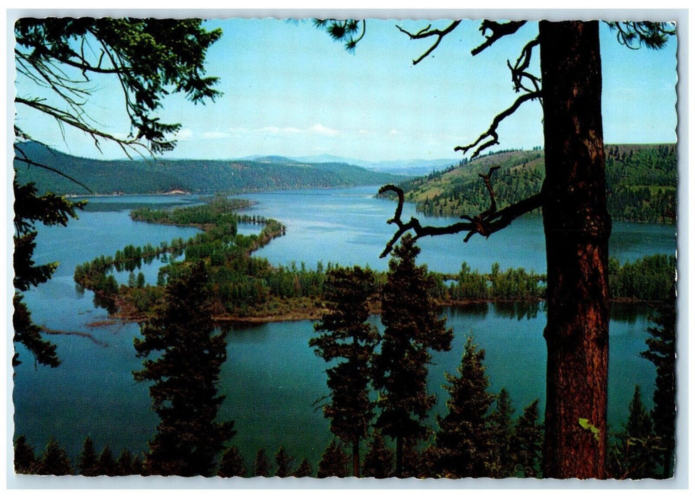 c1960 Scenic View Chatcolet Lake St Maries St Joe River North Idaho ID Postcard