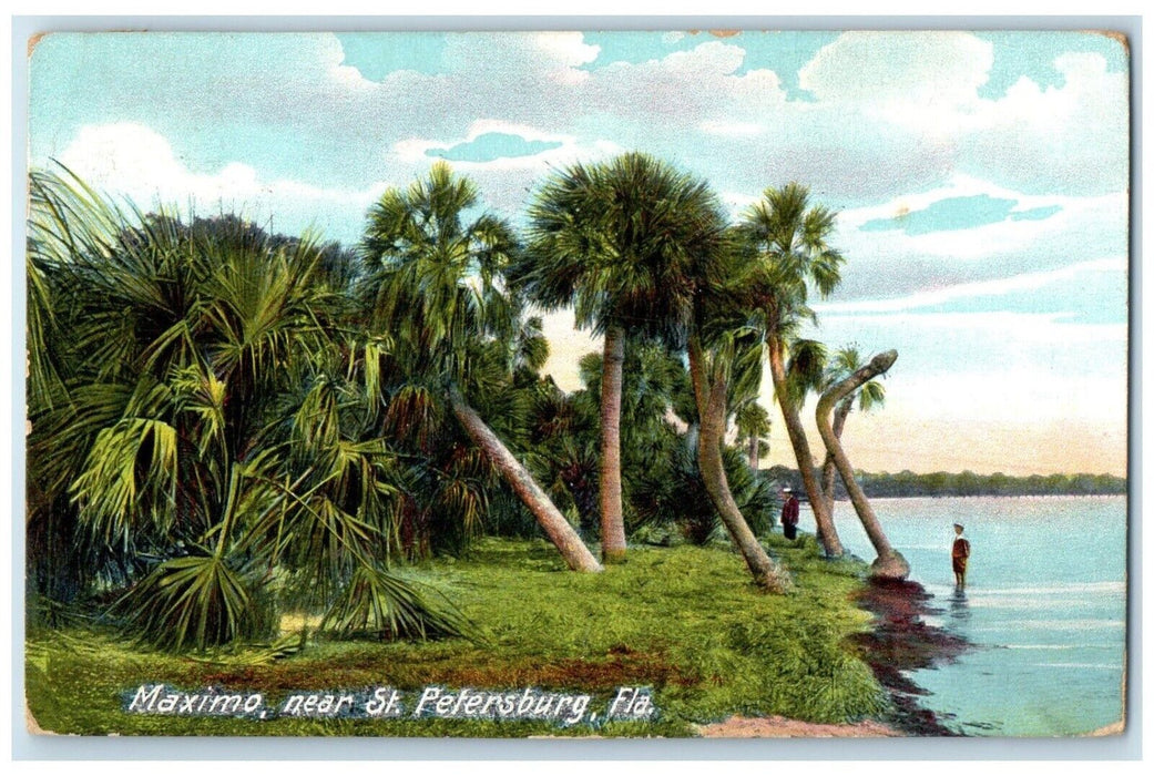 1908 Scenic View Palm Trees Maximo St Petersburg Florida Posted Antique Postcard