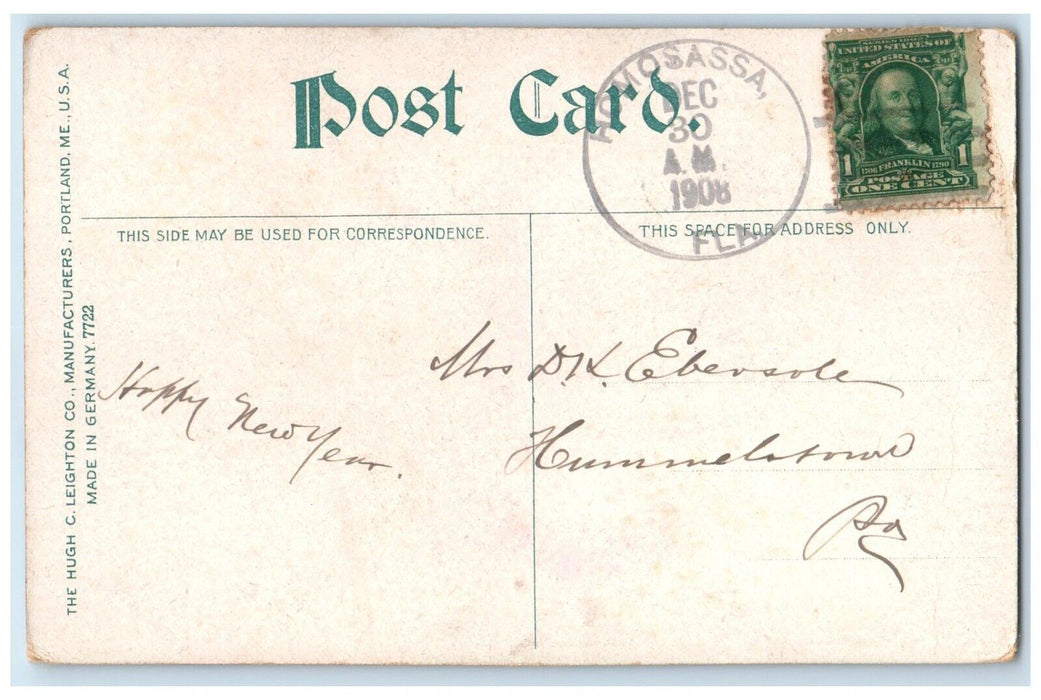 1908 Scenic View Palm Trees Maximo St Petersburg Florida Posted Antique Postcard