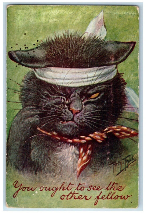 1908 Cat Injured You Ought To See The Other Fellow Thiele Melvern KS Postcard