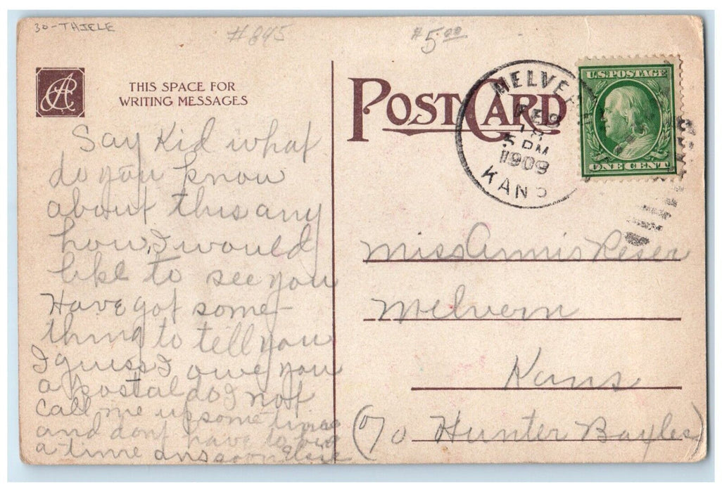 1908 Cat Injured You Ought To See The Other Fellow Thiele Melvern KS Postcard