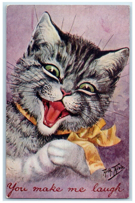 c1910's Jolly Cat You Make Me Laugh Thiele Madison South Dakota SD Postcard