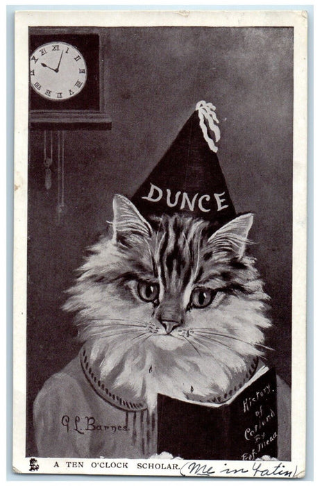 1909 Cat Dunce A Ten O Clock Scholar Madison South Dakota SD Tuck's Postcard