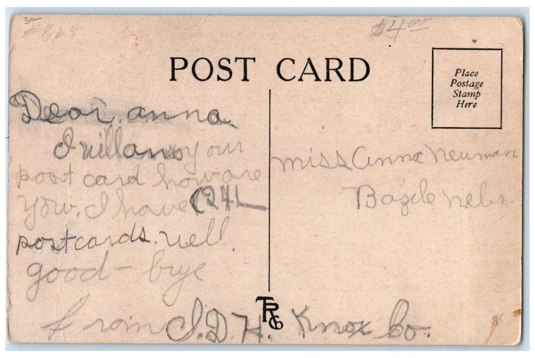 c1910's Old Rooster Man Head Bazile Nebraska NE Posted Antique Postcard