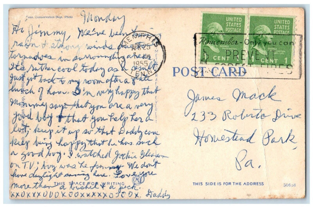 1955 Cotton Gin Plantation Near Horse Wood Carriage Memphis Tennessee Postcard