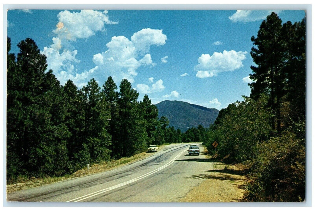 c1960 Highway 89 Yarnell Street Road Mountain Trees Prescott Arizona AZ Postcard