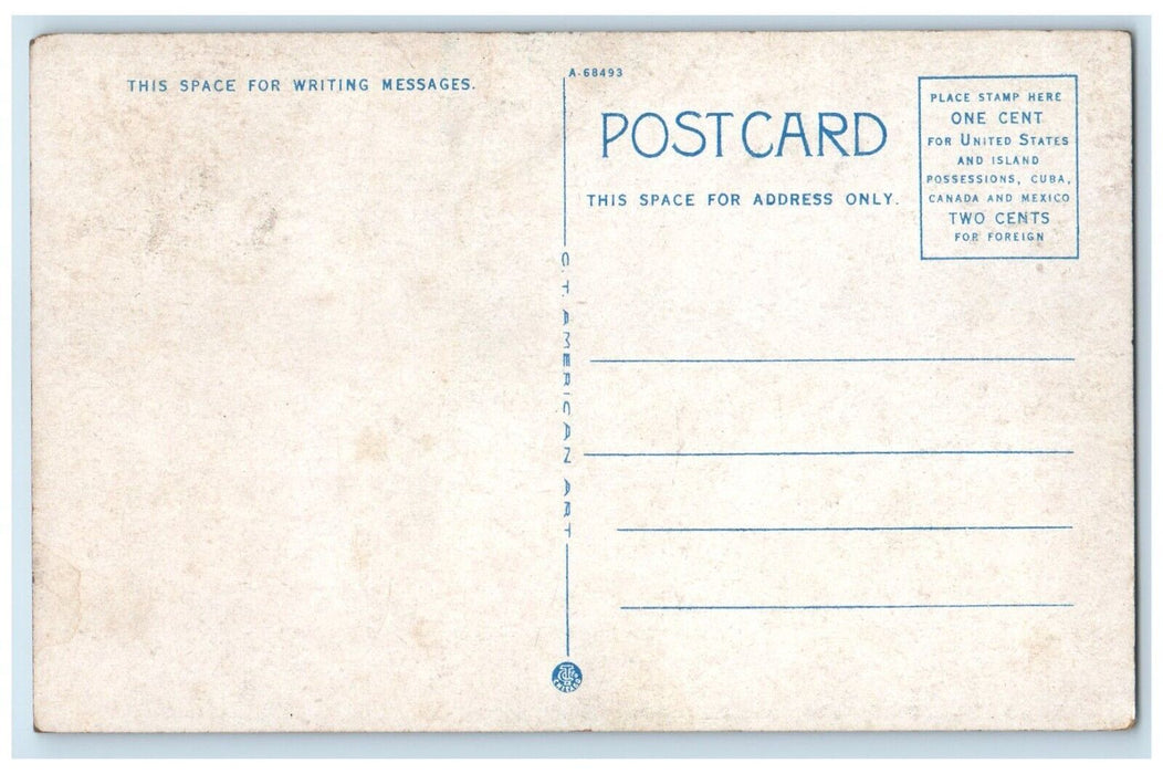 c1930 Broad Street Showing Confederate Clarke Monuments Athens Georgia Postcard