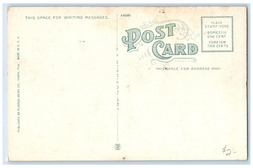 c1920 Looking East Tampa Bay Hotel Exterior Road Skyline Tampa Florida Postcard