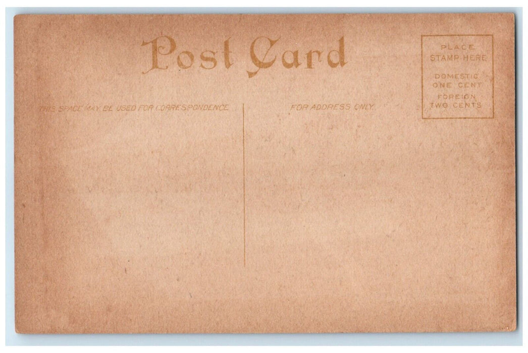 c1910's Mississippi River Bridge From Rock Island Arsenal Illinois IL Postcard
