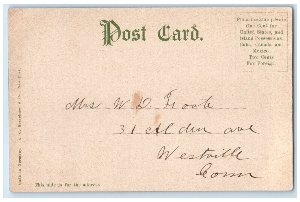 c1905 View Of William Mc Kinley Statue Chicago Illinois IL Antique Postcard