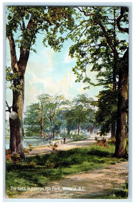 c1910 The Oaks in Beacon Hill Park Victoria British Columbia Canada Postcard