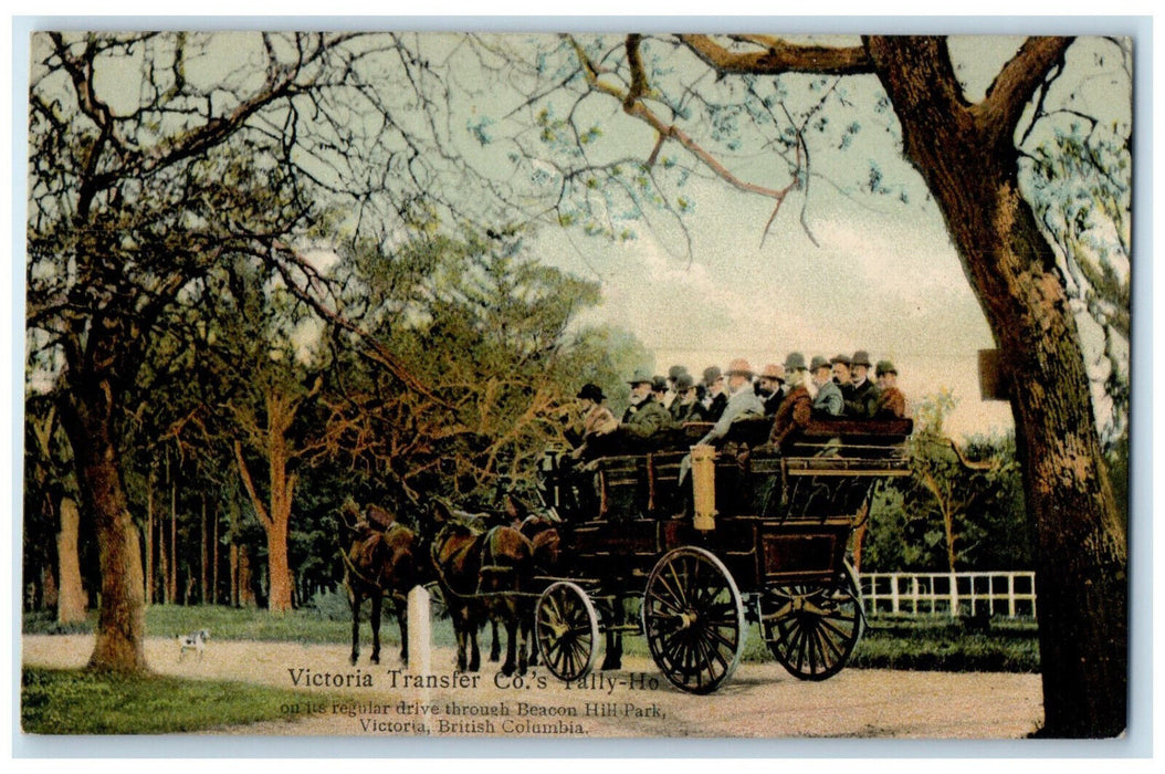c1910 Victoria Transfer Co's Tally Ho Horse Car British Columbia Canada Postcard
