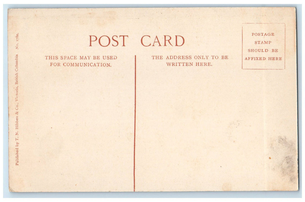 c1910 Victoria Transfer Co's Tally Ho Horse Car British Columbia Canada Postcard