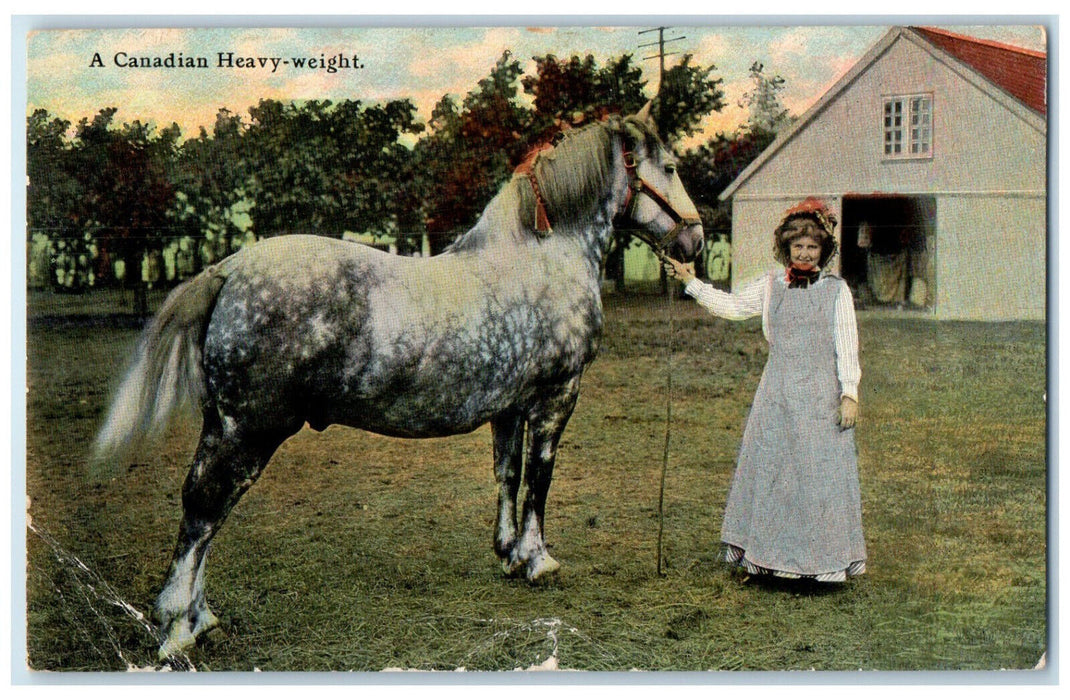 1911 Woman Holding White Horse A Canadian Heavy-Weight Posted Antique Postcard