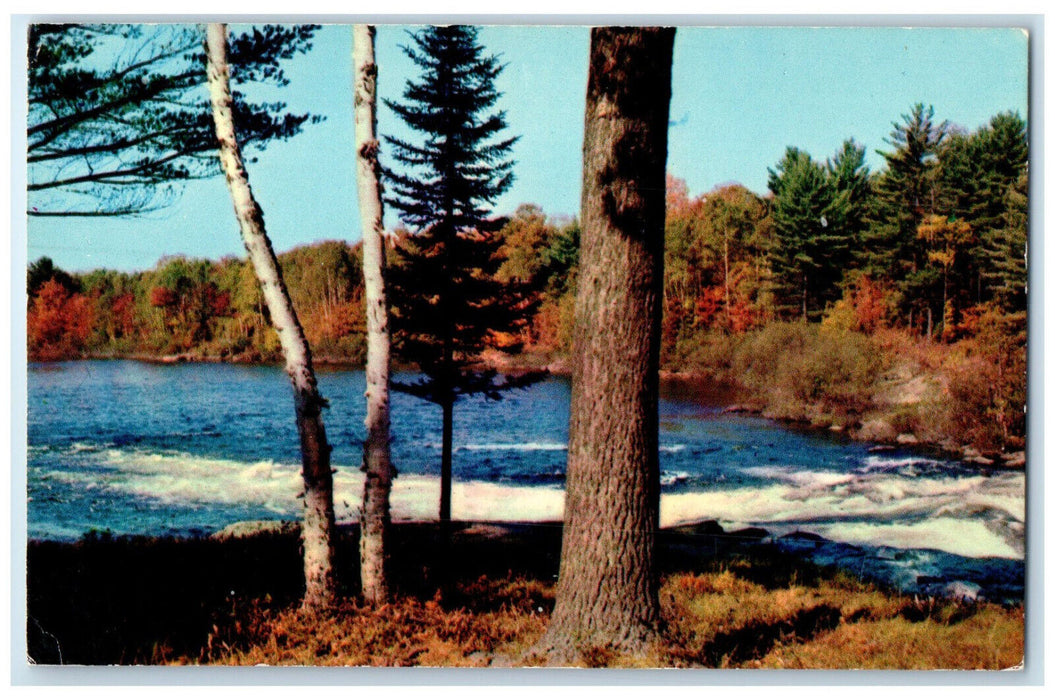 c1960's Greetings from Haring's Parkside Restaurant Gordon Bay Ontario Postcard