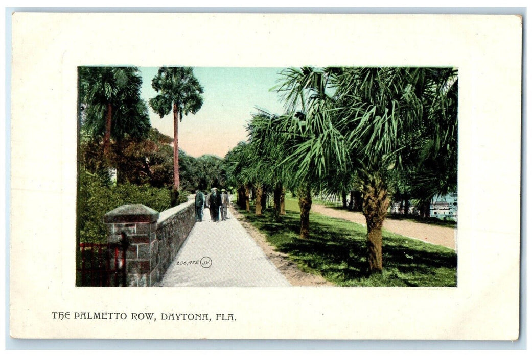 c1910 Scenic View Palmetto Row Palm Trees Daytona Florida FL Souvenir Postcard