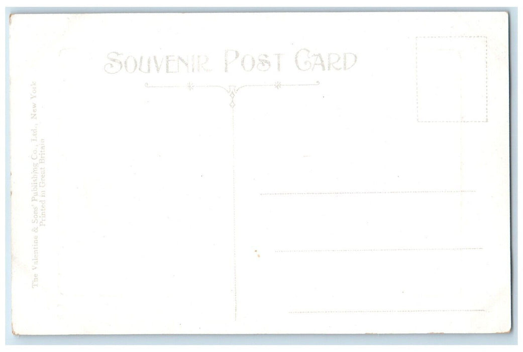 c1910 Scenic View Palmetto Row Palm Trees Daytona Florida FL Souvenir Postcard