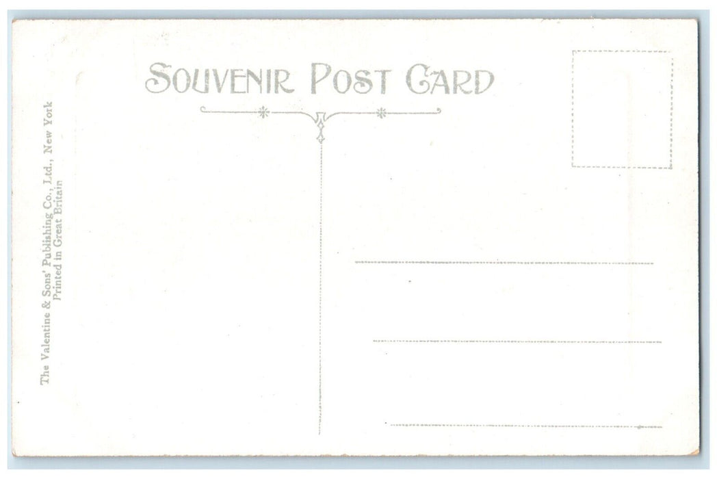 1910 Second Street North Houses Tress St Petersburg Florida FL Souvenir Postcard