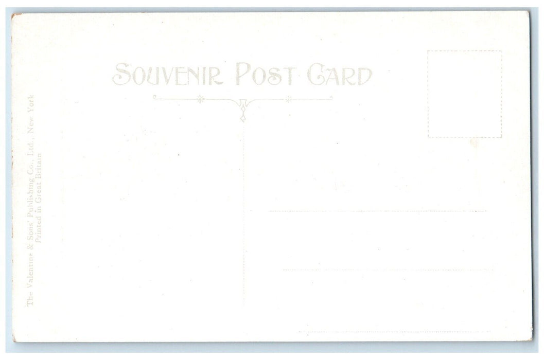 c1910 Road Trees River Front Plaza Hotel Rockledge Florida FL Souvenir Postcard