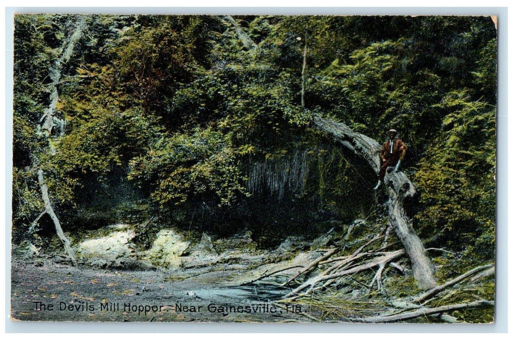 c1910 Devils Mill Hopper Forest Gainesville Florida FL Antique Unposted Postcard