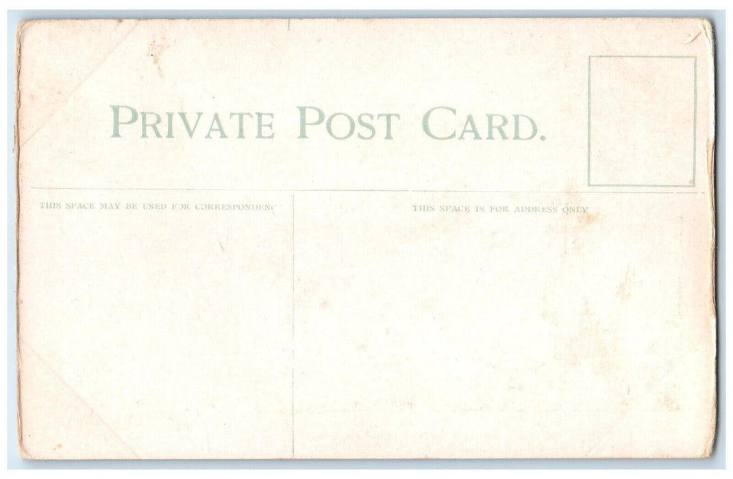 c1910 City Hall and Volunteer Monument Winnipeg Canada Antique Postcard