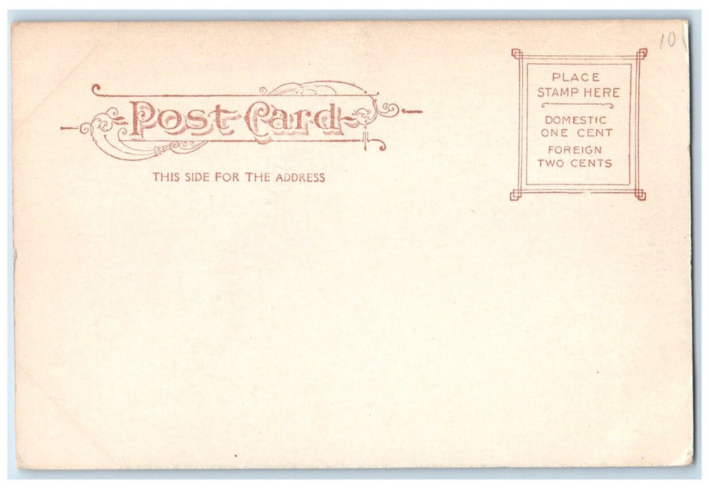 c1905 Pardee Hall Lafayette College Easton Pennsylvania PA Antique Postcard