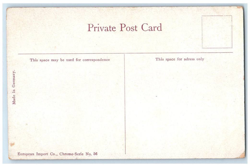 c1910 2nd Canyon Capilano North Vancouver British Columbia Canada Postcard