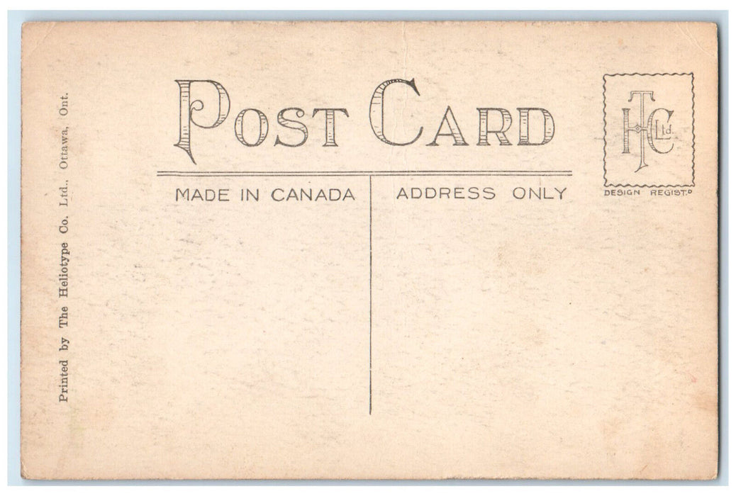 c1940's View of Big Tree Invererie Park Port Stanley Ontario Canada Postcard