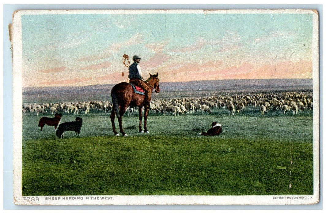 1915 Sheep Herding West Horse Cowboy Crestline Kansas Phostint Vintage Postcard