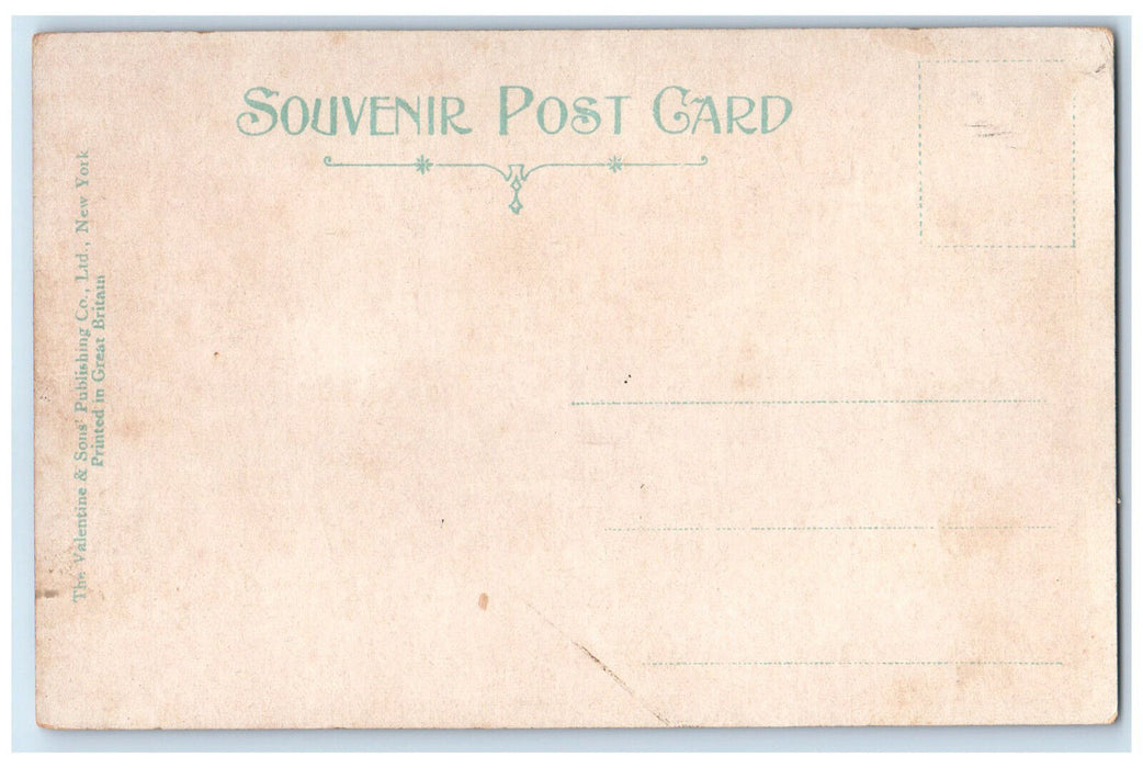 c1905 Riverdale Park Toronto Ontario Canada Antique Unposted Postcard