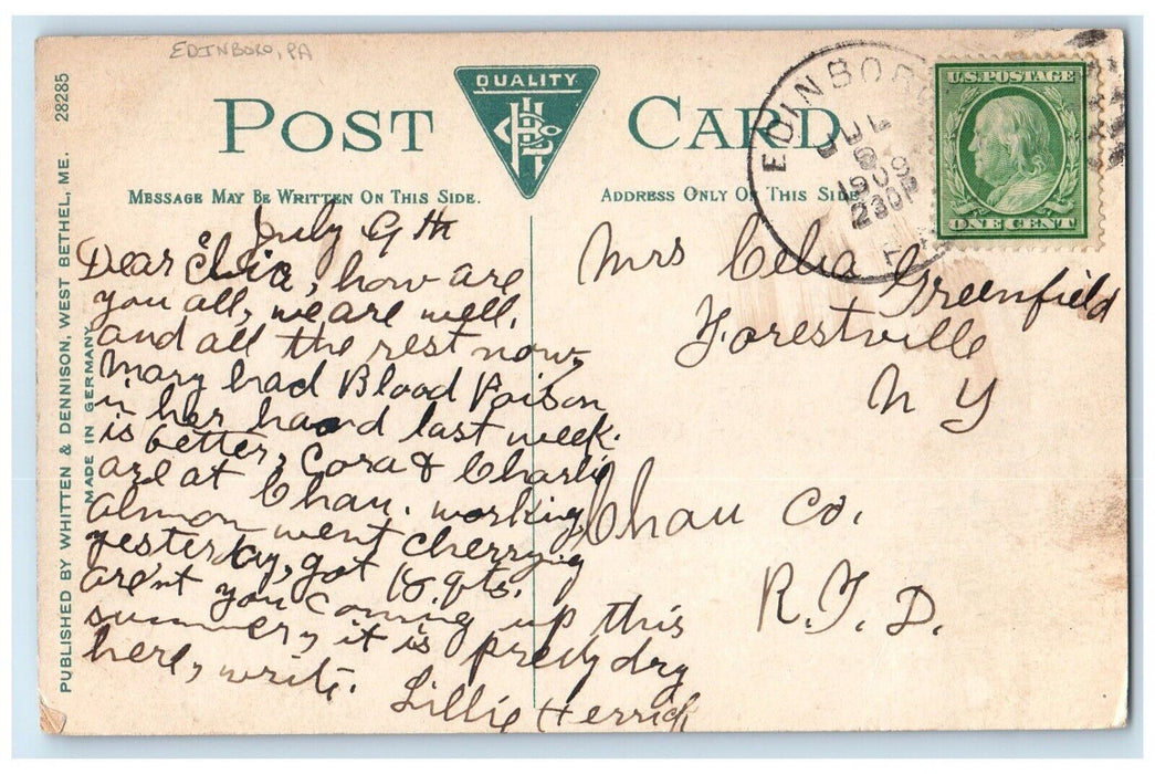 1909 View Of Clusters Of Grape Fruit Edinboro Florida FL Posted Antique Postcard