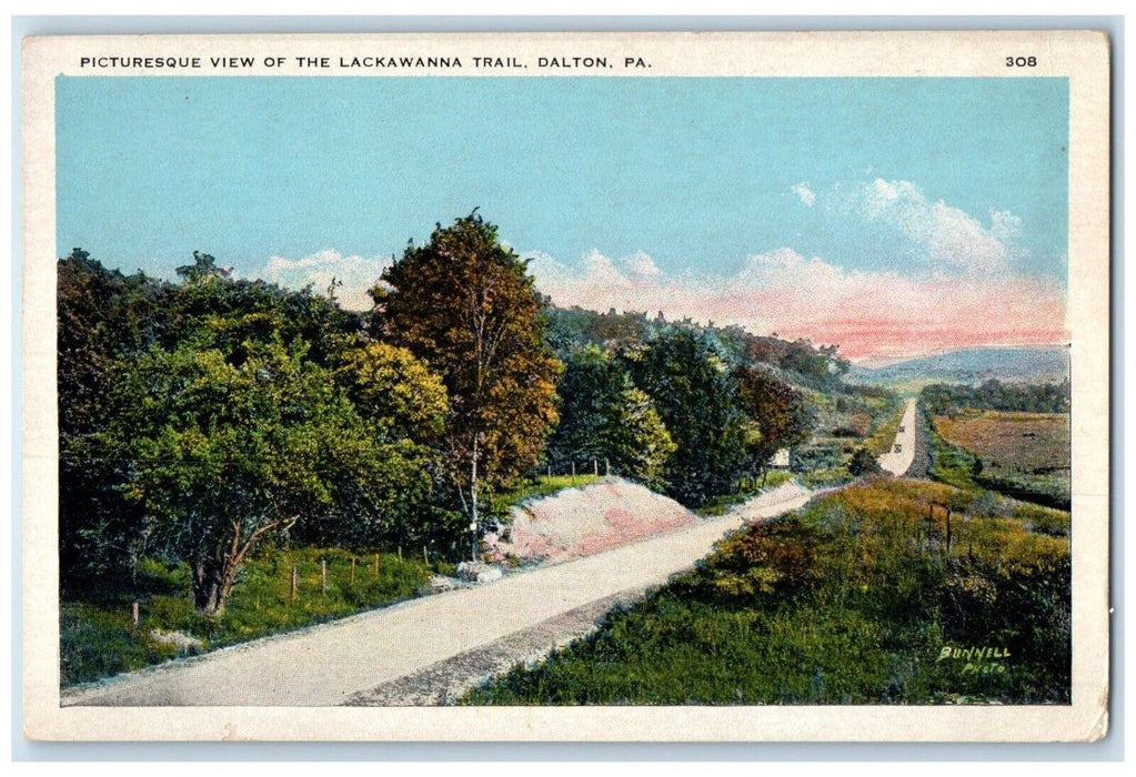 c1920's Picturesque View Of The Lackawanna Trail Dalton Pennsylvania PA Postcard