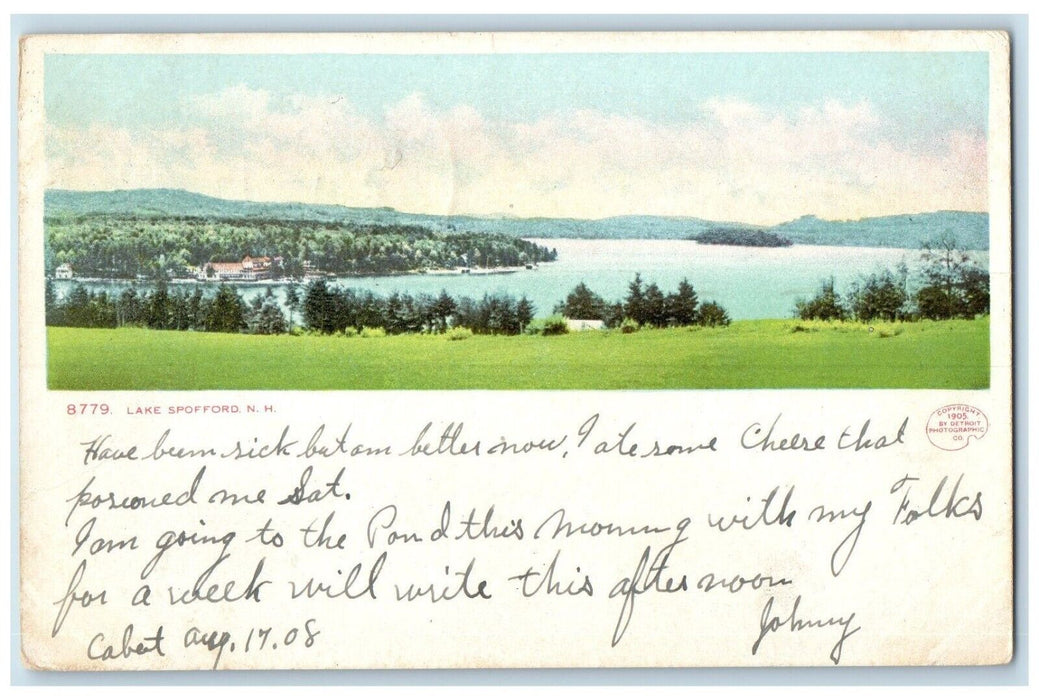 1908 Overlooking View Lake Spofford New Hampshire NH Cabot Vermont VT Postcard