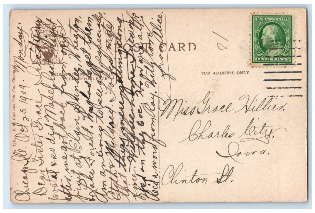 c1910's Bird Cage Lincoln Fark Chicago Illinois IL, Water Fountain Postcard