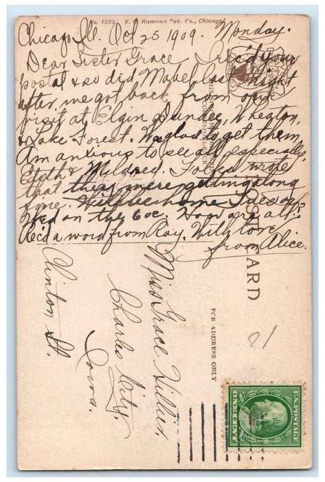 c1910's Bird Cage Lincoln Fark Chicago Illinois IL, Water Fountain Postcard