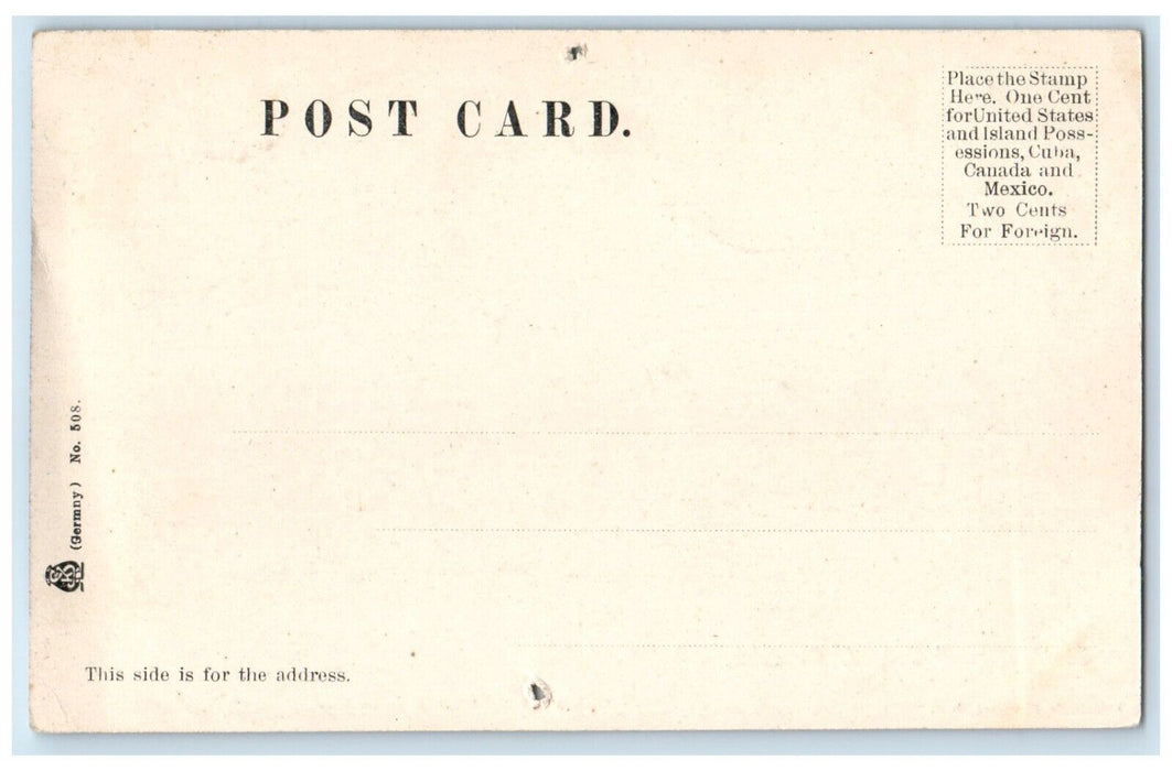 c1905 State Normal School Building Street View De Kalb Illinois IL Postcard