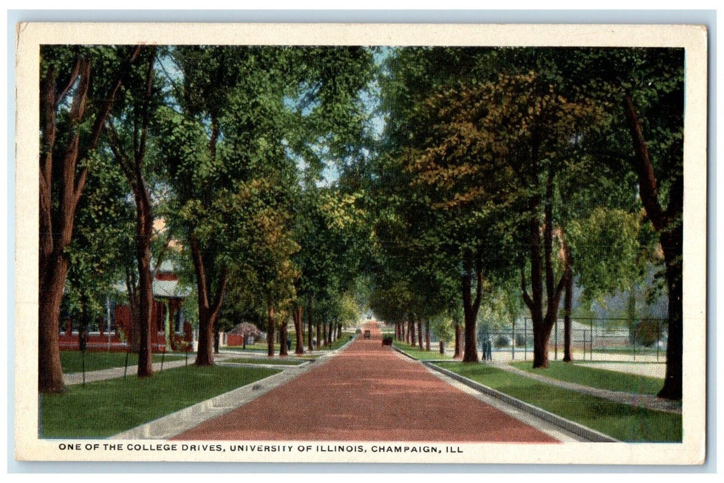 1921 One Of The College Drives University Of Illinois Champaign IL Postcard