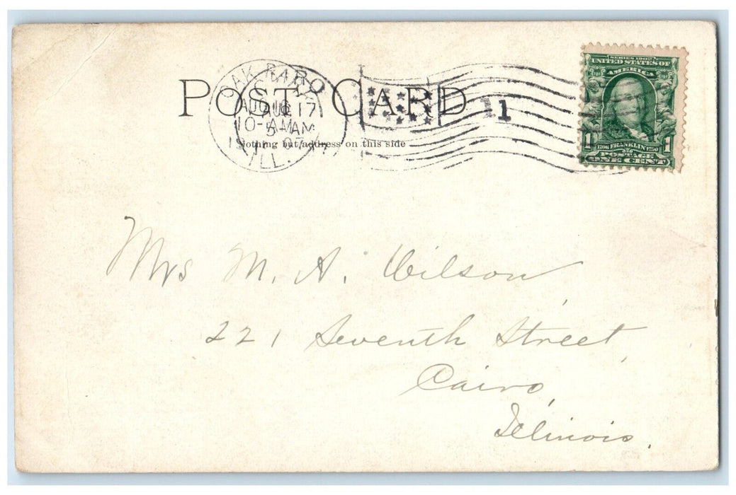1907 View Of Gage Park English Garden Chicago Illinois IL Antique Postcard