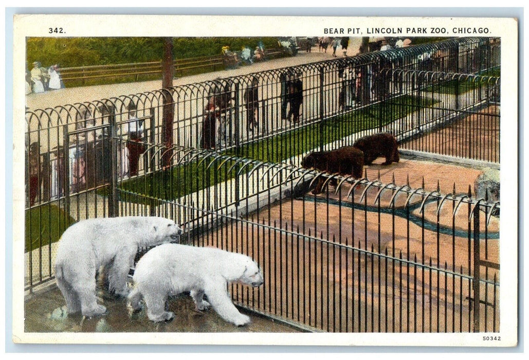 c1930's Bear Pit Lincoln Park Zoo Chicago Illinois IL Posted Vintage Postcard