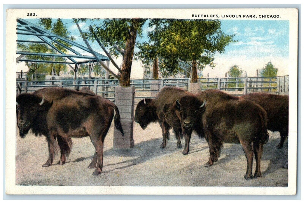 1921 Buffaloes Lincoln Park Chicago Illinois IL Posted Vintage Postcard