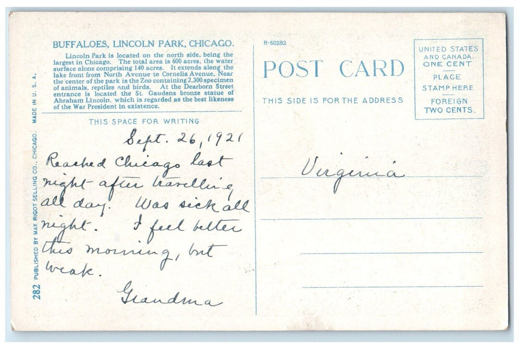 1921 Buffaloes Lincoln Park Chicago Illinois IL Posted Vintage Postcard