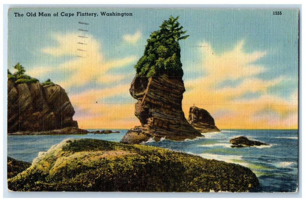 1947 Old Man Cape Flattery Seattle Washington WA Vintage Antique Posted Postcard