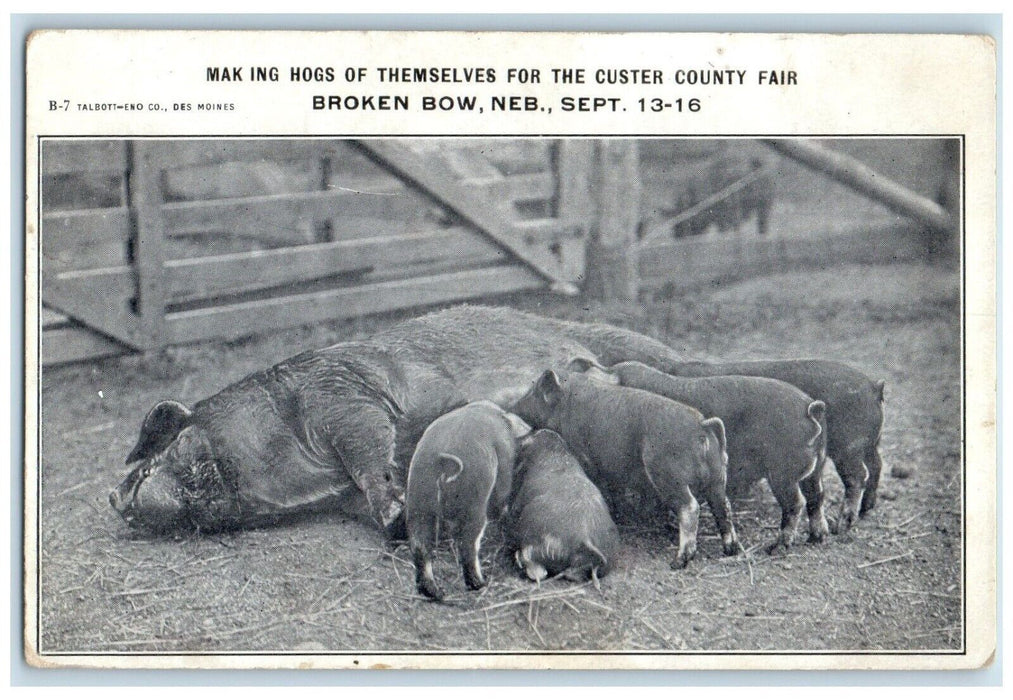 c1916 Making Hogs Custer County Fair Animal Broken Bow Nebraska Vintage Postcard