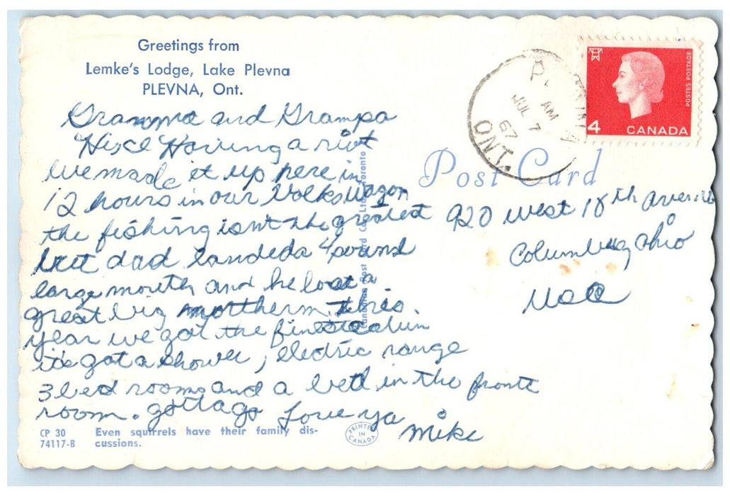 1967 Greetings From Lemke's Lodge Lake Plevna Ontario Canada Squirrel Postcard