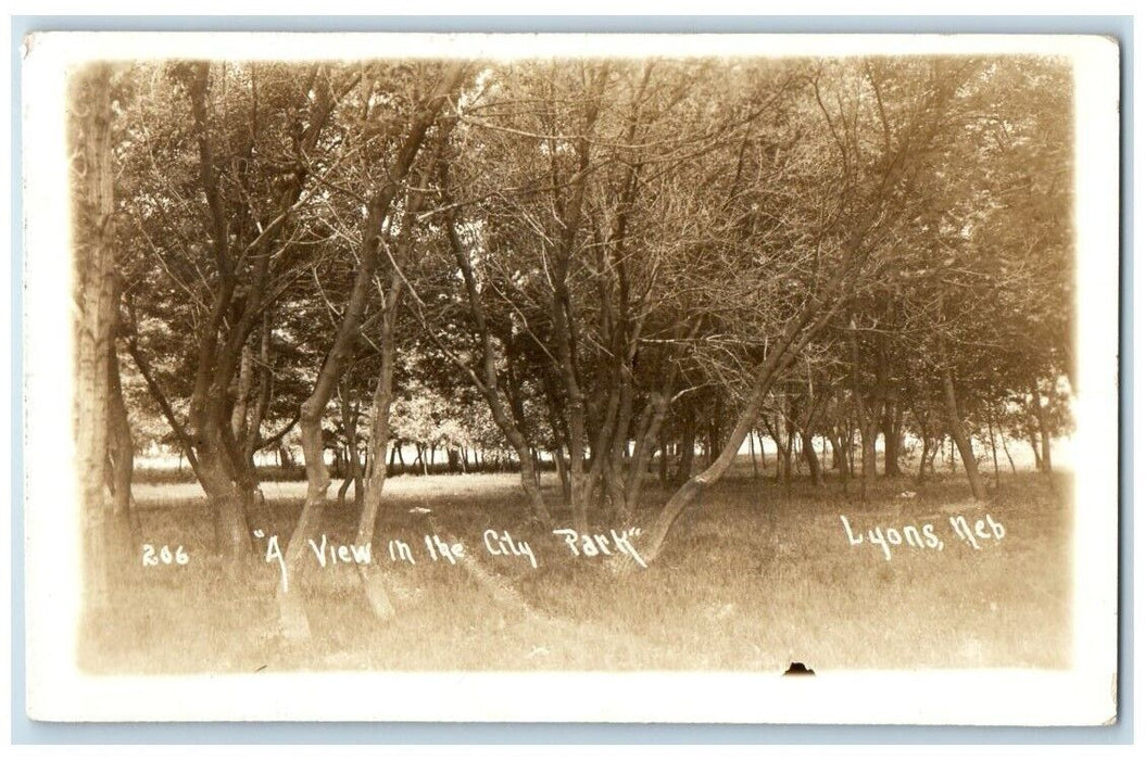 1913 A View In The City Park Trees Lyons Nebraska NE RPPC Photo Posted Postcard