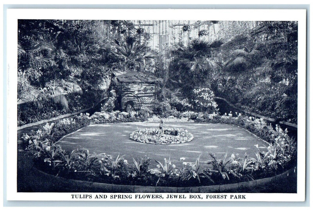 c1940 Tulips Spring Flowers Jewel Box Forest Park St Louis Missouri MO Postcard