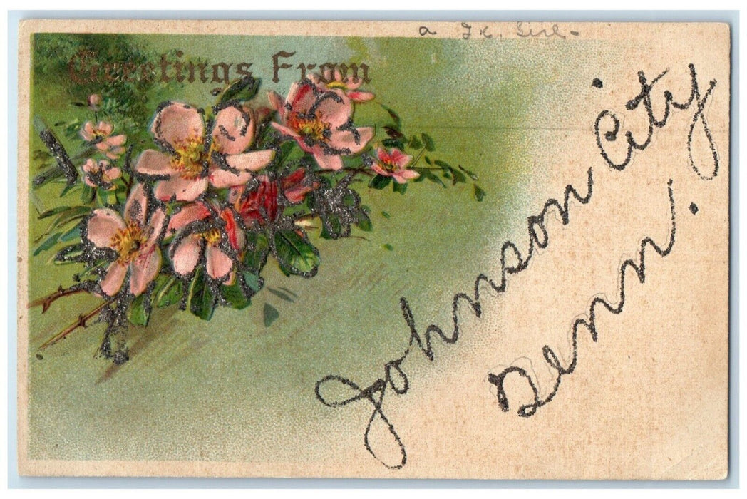 c1910's Greetings From Johnson City Indiana IN Flowers Embossed Glitter Postcard