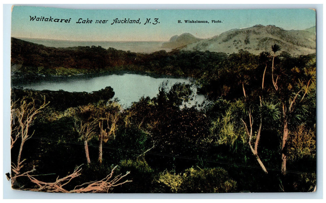 c1910 Waitakarei Lake Near Auckland New Zealand Unposted Antique Postcard